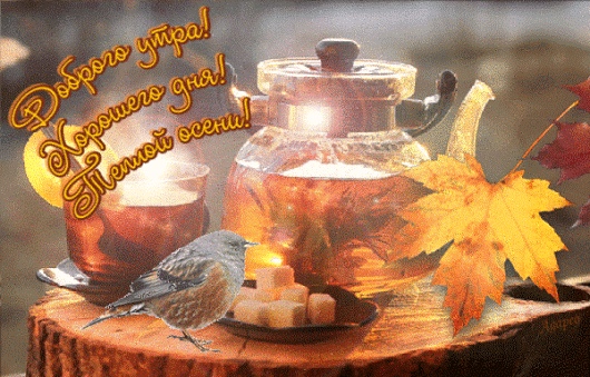 ДВОРИК ДЛЯ ДУШИ – Google+