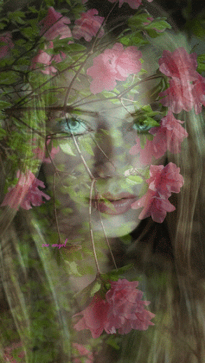 GiF WORLD – Google+