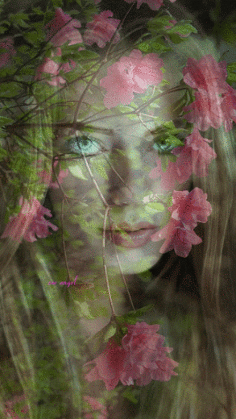 GiF WORLD – Google+