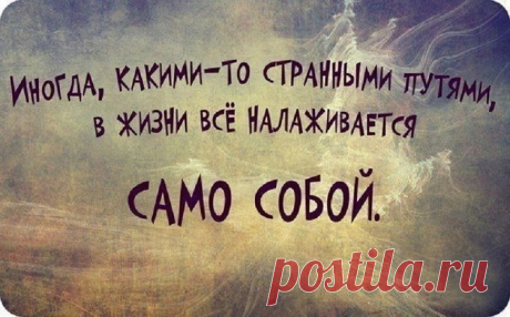 Эти строки следует перечитывать как минимум, раз в неделю! — Лист Клевера