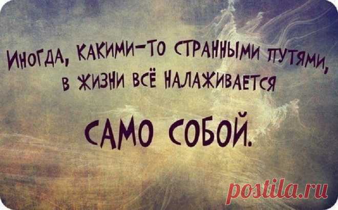Эти строки следует перечитывать как минимум, раз в неделю! — Лист Клевера