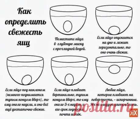 Про свежесть яиц.