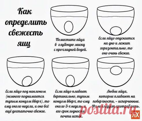 Про свежесть яиц.