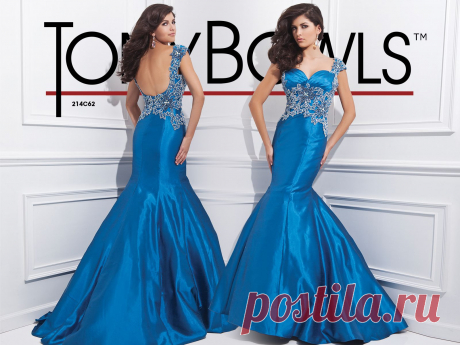 Tony Bowls Collection  »  Style No. 214C62  »  Tony Bowls