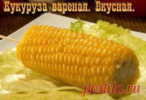 Польза вареной кукурузы (початок, каша, попкорн) | За Здравие: методы лечения народными средствами в домашних условиях от Захара Олеговича Журавлева