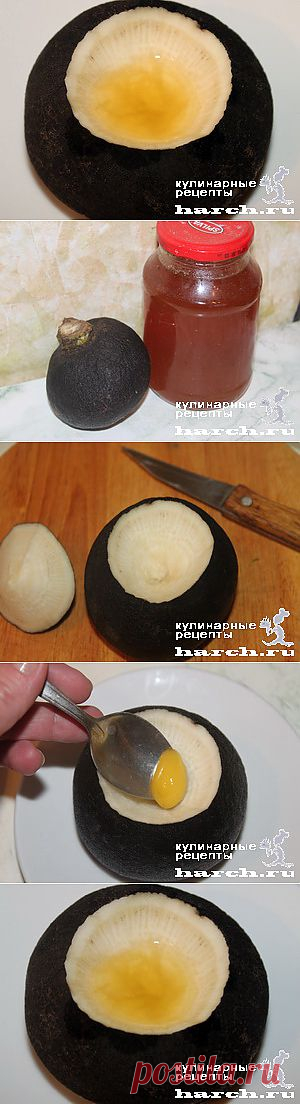 Редька с медом от кашля  |  Харч.ру  - рецепты для любителей вкусно поесть