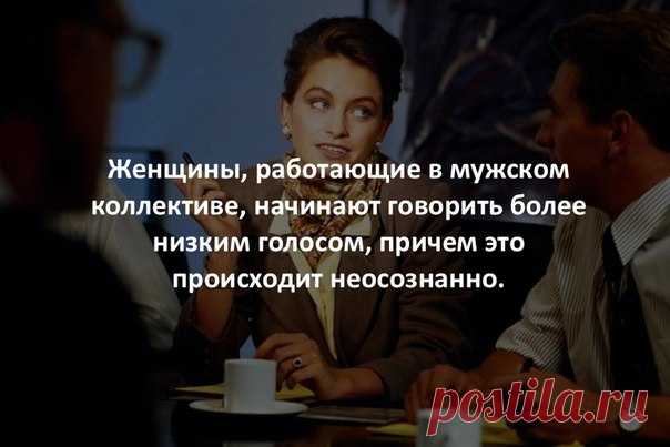 5 интересных фактов