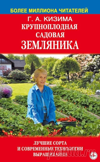 Доступно - Крупноплодная садовая земляника (Галина Кизима) | Складчина
