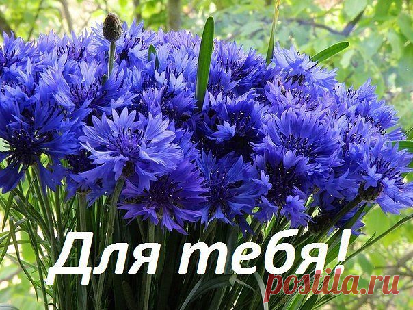 Цветы На Вашу Страничку!