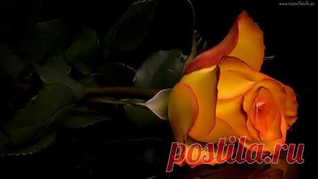 getImage (640×360)
