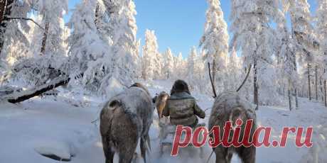 Духи Якутии - древние и современные