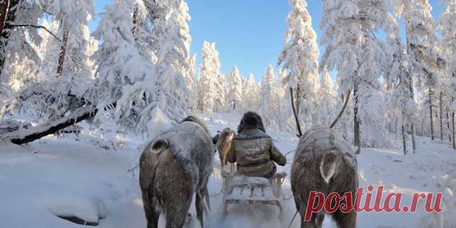 Духи Якутии - древние и современные