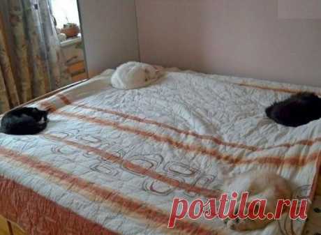 Фотографии на стене сообщества | 32 768 фотографий
