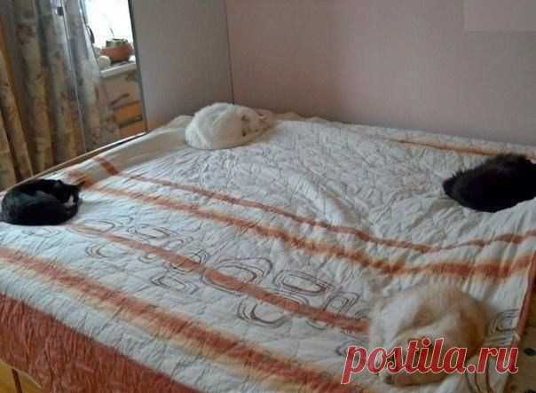 Фотографии на стене сообщества | 32 768 фотографий