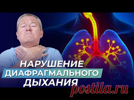 ДИАФРАГМАЛЬНОЕ ДЫХАНИЕ: причины нарушений, последствия, ВОССТАНОВЛЕНИЕ