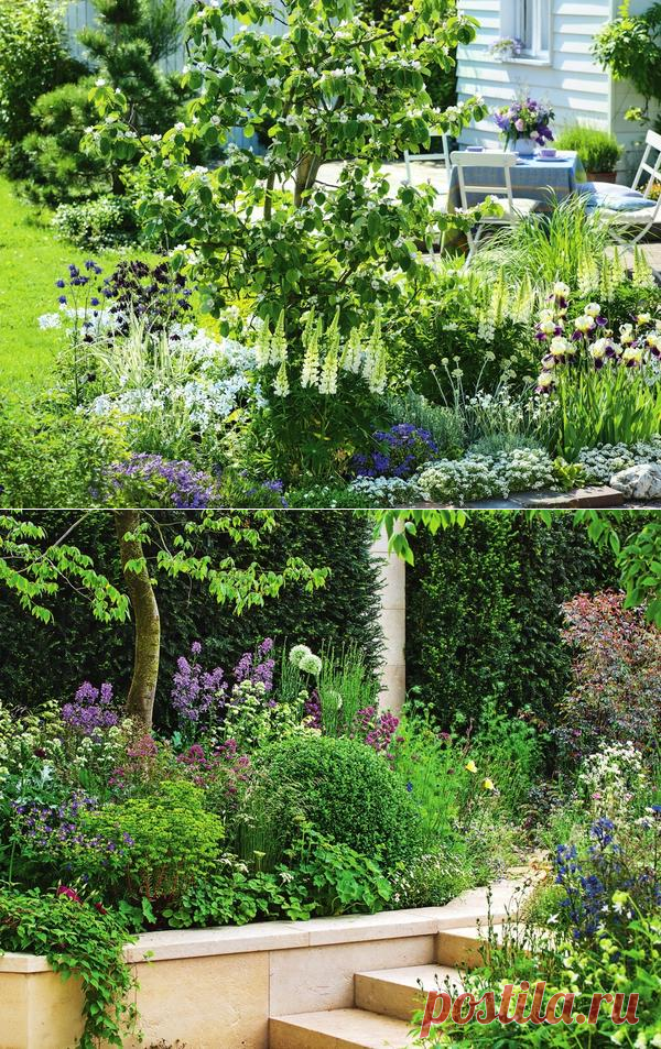 Цветочные фантазии: составляем эффектные композиции для сада / цветы и клумбы / 7dach.ru