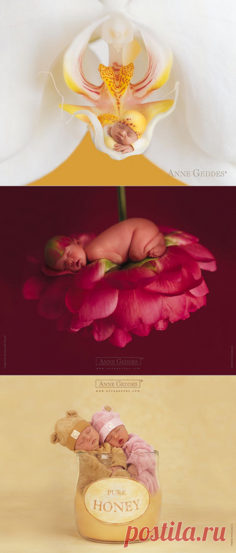 Фотографии с новорождёнными от Anne Geddes