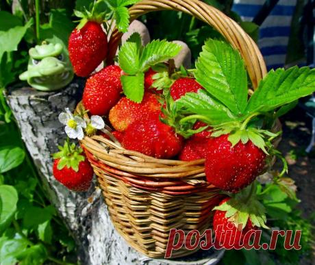 Мой Мир@Mail.Ru