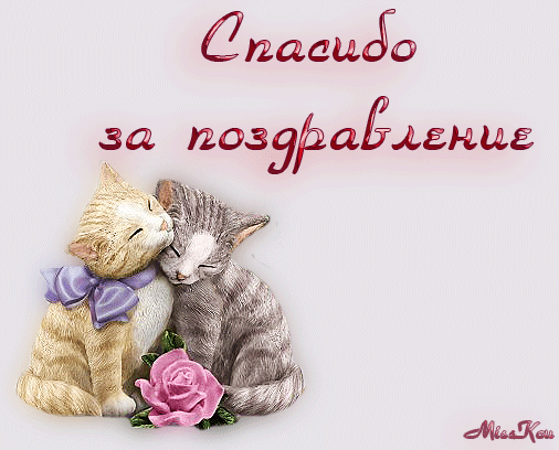 Спасибо за все ваши пожеланья.