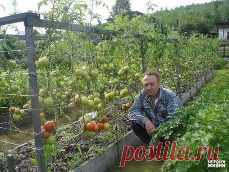 (53) Одноклассники