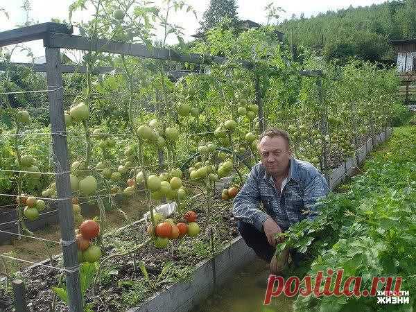 (53) Одноклассники