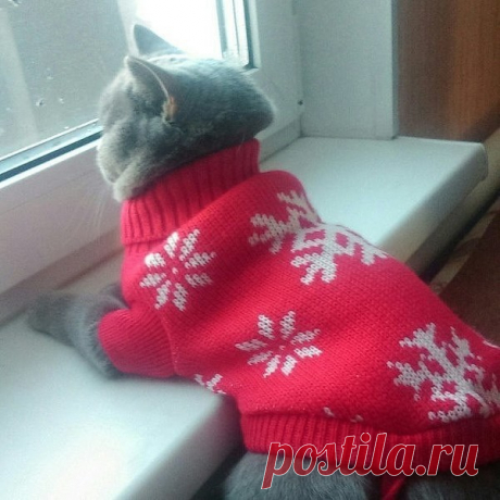 Копилочка: все самое интересное,полезное, красивое!!! - Группы Мой Мир