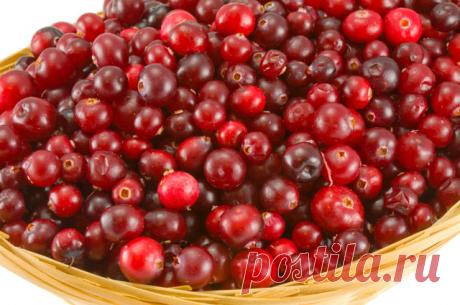 Клюква, лимонник и кофе. Что есть и пить при резкой смене погоды | Питание и диеты | Кухня | Аргументы и Факты