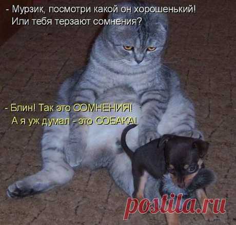 РАЗДУМЬЯ...