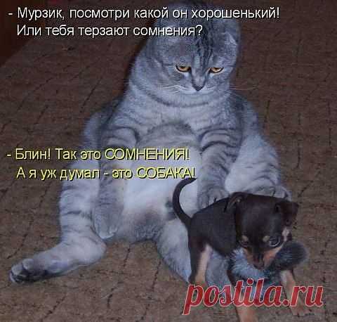РАЗДУМЬЯ...
