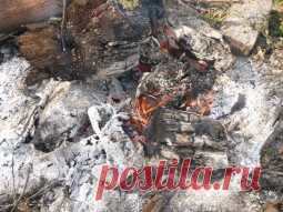 Зола золе рознь - Садоводка