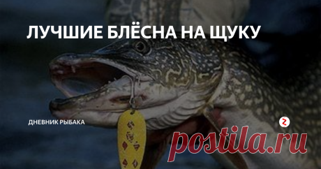 ЛУЧШИЕ БЛЁСНА НА ЩУКУ Блесна — это одна из лучших спиннинговых приманок для ловли щуки. Ловля щуки на блёсны продолжается, несмотря на то, что прилавки рыболовных магазинов заполонили сотни других видов приманок. А всё потому, что на блесну можно ловить щуку не хуже, чем на модные сейчас воблеры или съедобную резину.
Многие рыболовы принципиально отказываются ловить на современные дорогие щучьи приманки и прекрасно лов