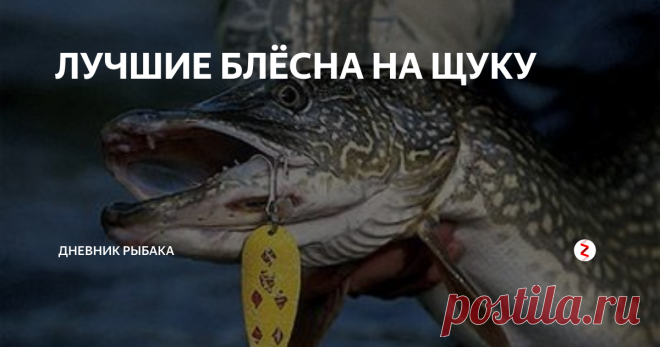 ЛУЧШИЕ БЛЁСНА НА ЩУКУ Блесна — это одна из лучших спиннинговых приманок для ловли щуки. Ловля щуки на блёсны продолжается, несмотря на то, что прилавки рыболовных магазинов заполонили сотни других видов приманок. А всё потому, что на блесну можно ловить щуку не хуже, чем на модные сейчас воблеры или съедобную резину.
Многие рыболовы принципиально отказываются ловить на современные дорогие щучьи приманки и прекрасно лов