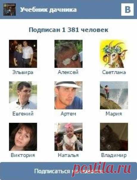 Садовая клюква: видео-инструкция по выращиванию своими руками, особенности посадки, ухода, цена, фото