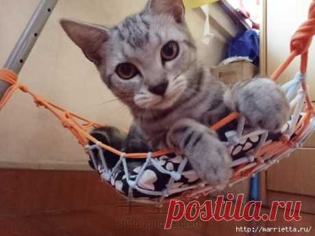 Гамак для кошки. Своими руками из футболок