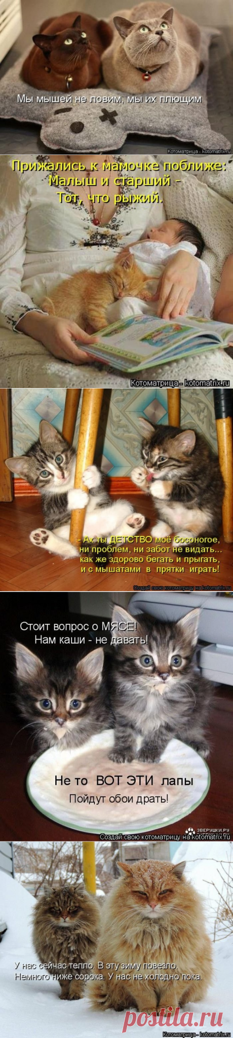 Котоматрицы великолепные, каждая с кусочком позитива и хорошего настроения!!!