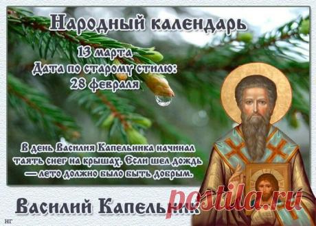 На Руси на Василия в дом приносили еловую или сосновую ветку, чтобы исходящий аромат прибавил здоровья домочадцам. Из сосновых почек и веток варили лечебный отвар. Открытки на Василий Капельник!