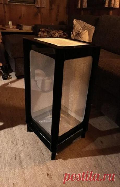 Дачник изготовил нехитрую мухоловку, в которую за неделю попалось больше 2 кг мух