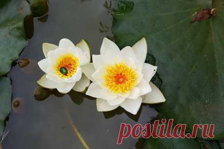 Редактировать описание