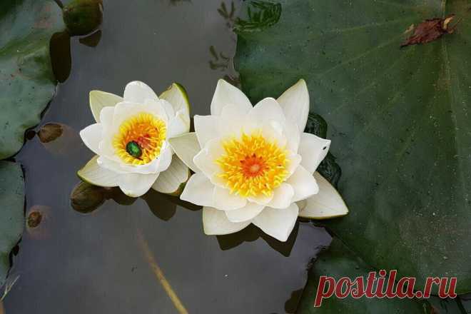 Редактировать описание