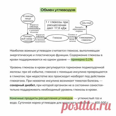_023TbCrwBE.jpg (1280×1279)