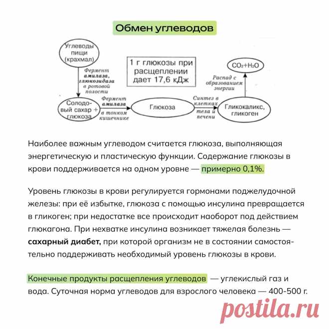 _023TbCrwBE.jpg (1280×1279)