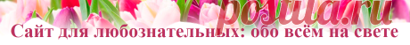 Таратушки на кефире | Сайт для любознательных