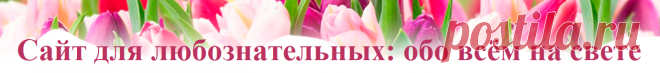 Таратушки на кефире | Сайт для любознательных