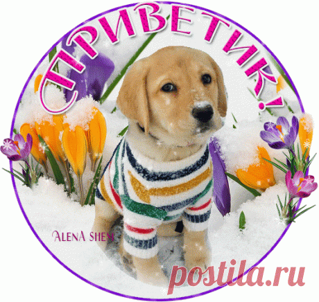 Анимированная открытка Приветик! Хорошего тебе настроения!