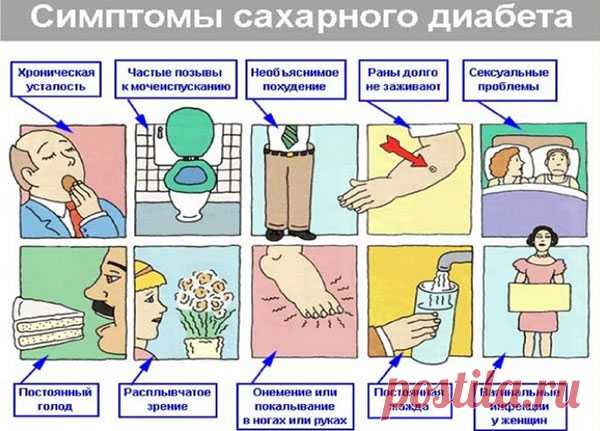 Хвойница