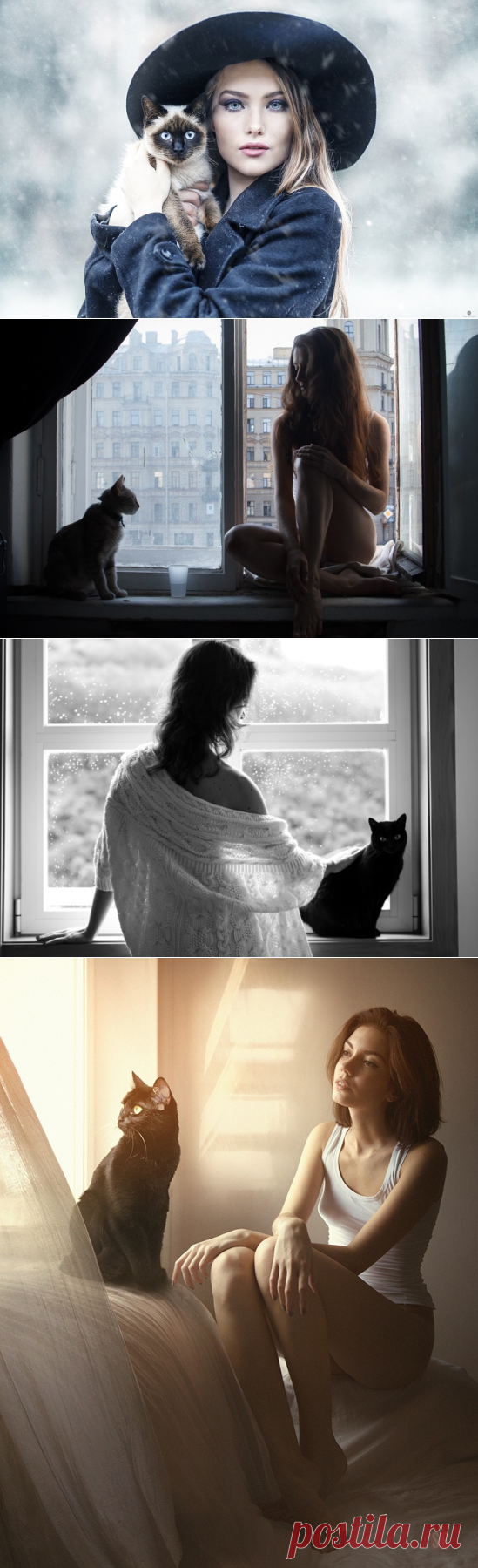 Котики и их хозяйки