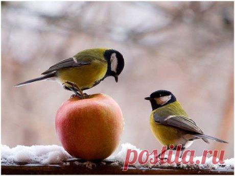 Интересные новости