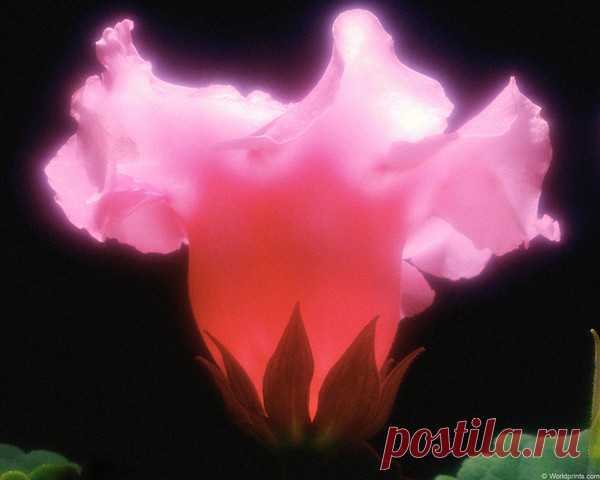 Избранное - 242 фото. Фотографии Чародейка )).