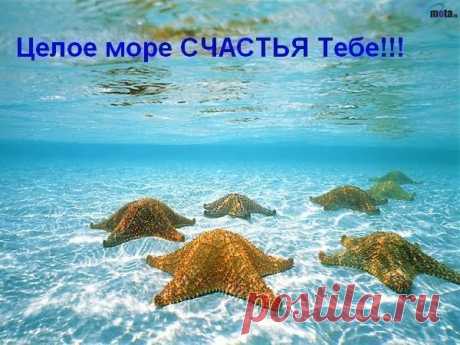 Целое море счастья тебе i