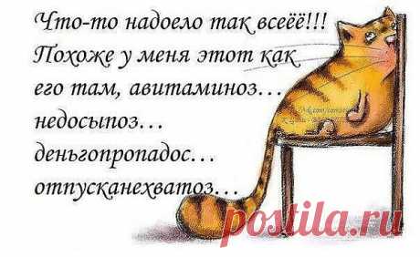 (39) Одноклассники